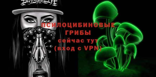 таблы Краснослободск