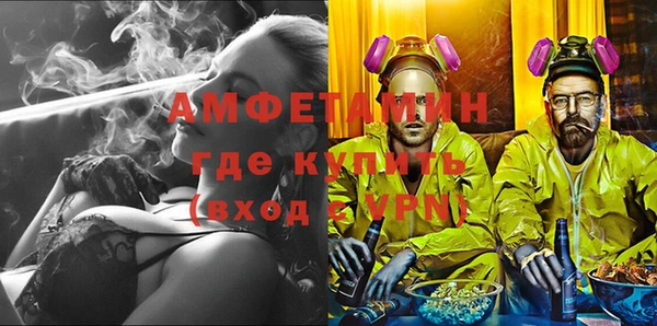 сатива Узловая