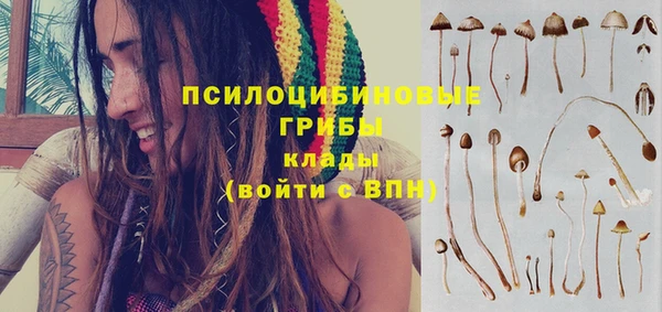 первитин Пролетарск