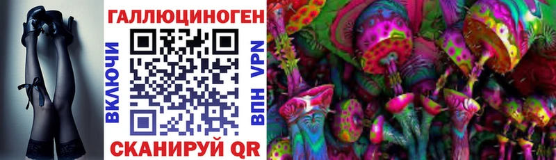 Галлюциногенные грибы Cubensis  сколько стоит  Котельнич 